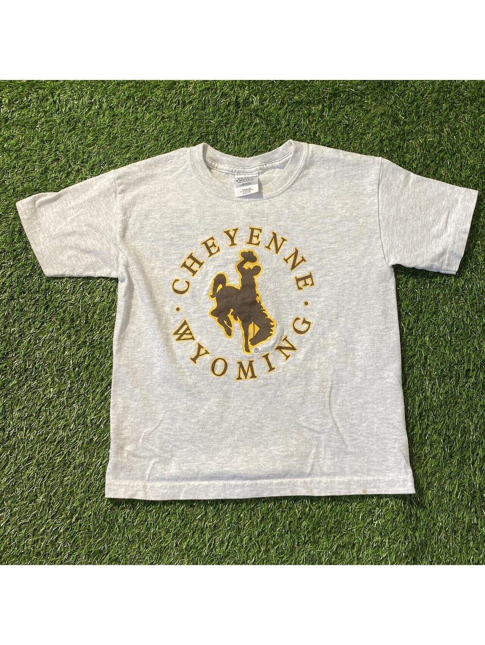 Vintage Y2K Cheyenne Wyoming College Tee